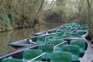 Marais Poitevin (LALLIER)