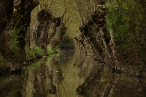 Marais Poitevin