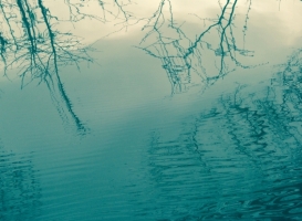 Marais Poitevin (MERLIN)